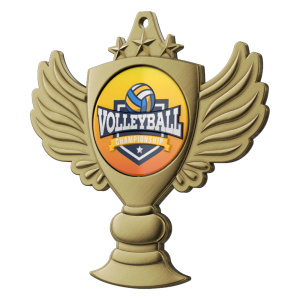 Volleyball Champion Medal of Honor