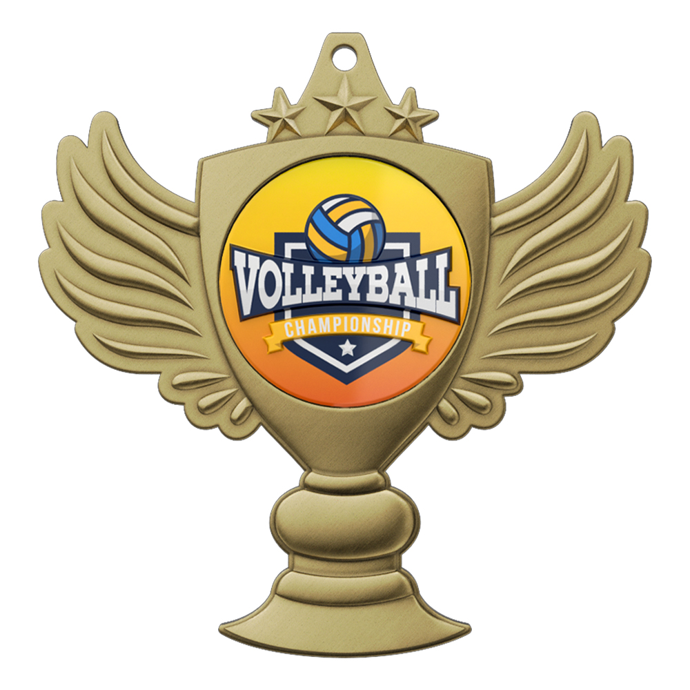 Volleyball Champion Medal of Honor front