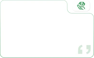 Service and After-Sales