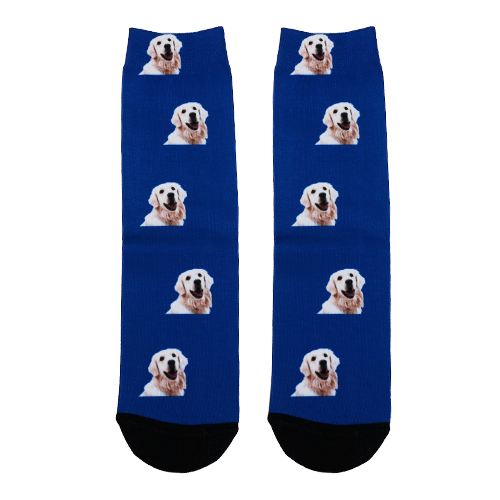 Custom Unique and Meaningful Dog Socks