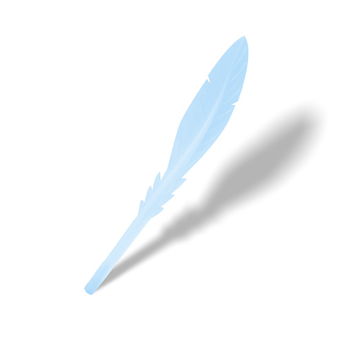 Custom Unique Feather Pens with Black Ink