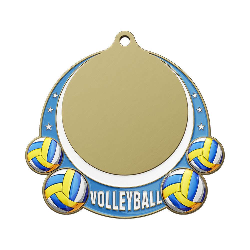 Volleyball Champion Award Outstanding Contribution Award antique gold