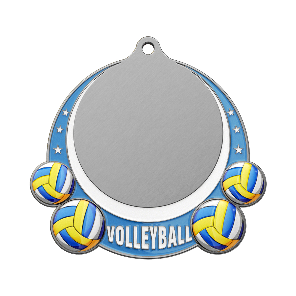 Volleyball Champion Award Outstanding Contribution Award antique silver