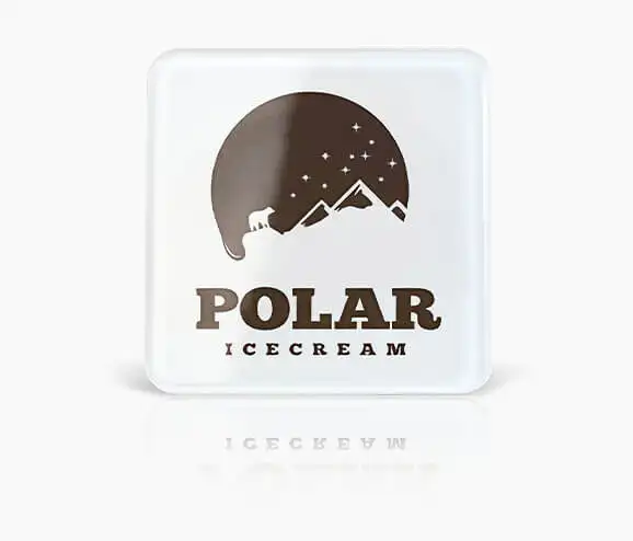 Custom Polar Plastic Name Tag