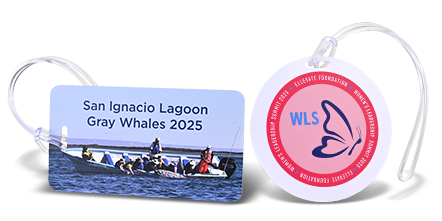 Rigid PVC Luggage Tags in Bulk