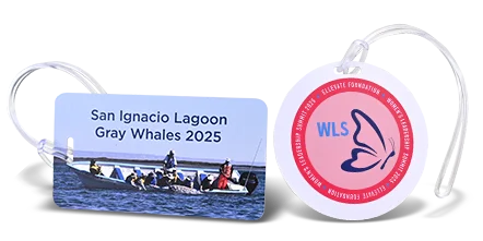 Rigid PVC Luggage Tags in Bulk