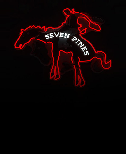  Frequency Neon Signs