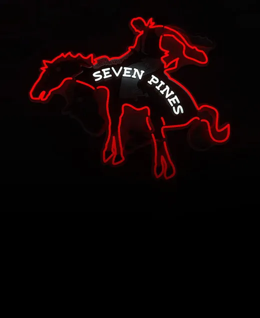  Frequency Neon Signs