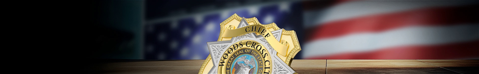 Police Challenge Coins