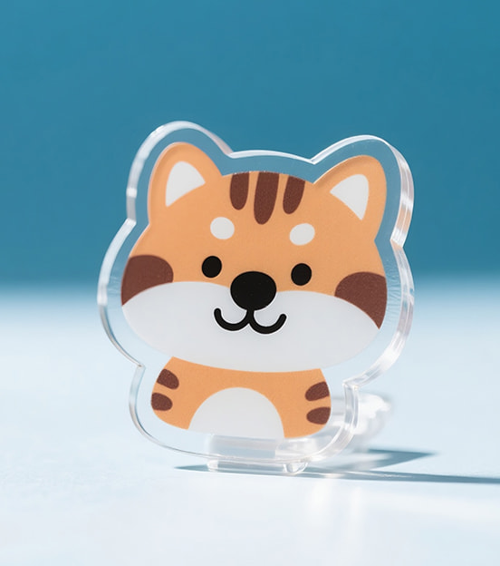 Acrylic Pins