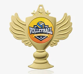 Volleyball Champion Medal of Honor