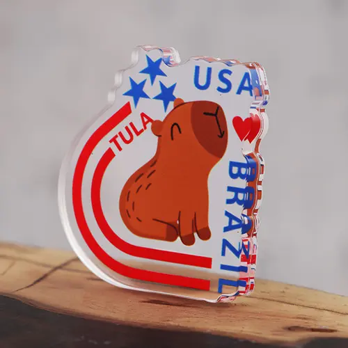 Acrylic USA Brazil Pins