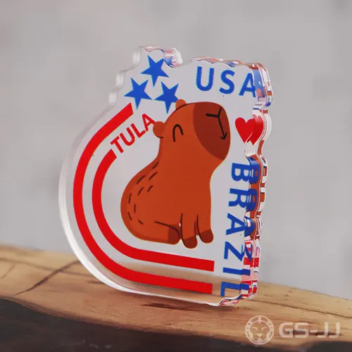 Acrylic USA Brazil Pins Acrylic USA Brazil Pins