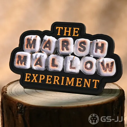 The Marshmallow Experiment PVC Patches The Marshmallow Experiment PVC Patches
