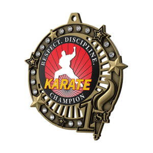 1st Karate Respect & Discipline Medal