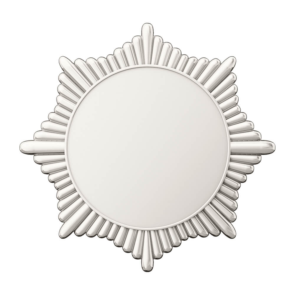 Commemorative Service Medal shiny silver Commemorative Service Medal shiny silver