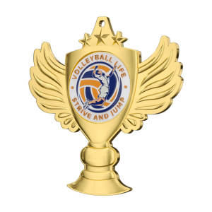 Volleyball Life Strive and Jump Commemorative Medal