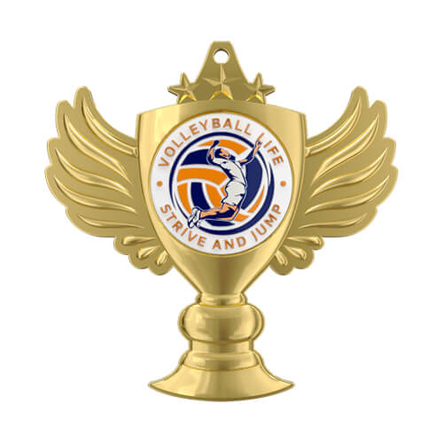 Volleyball Life Strive and Jump Commemorative Medal