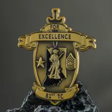 81ST TC Excellence Commendation Coin