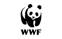 WWF lapel pins Logo