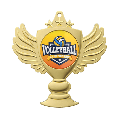 Volleyball Champion Medal of Honor