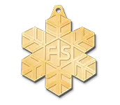 Alpine Ski Customized Medals