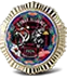 Cyber Alliance Rush Custom Coins