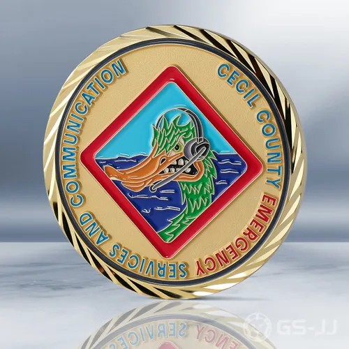 Primum Non Nocere Customized Coins Primum Non Nocere Customized Coins