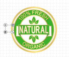 Eco-friendly Enamel Pin Template