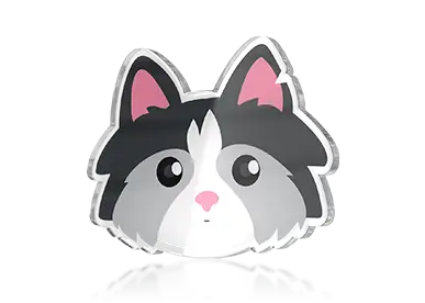 Acrylic Lapel Pins​​