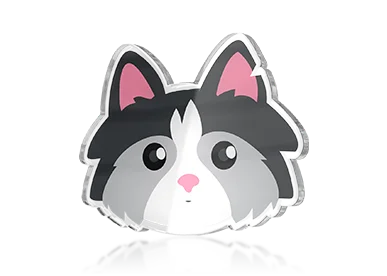 Acrylic Lapel Pins​​