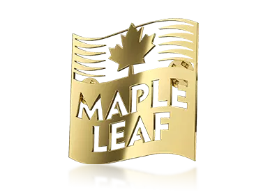 Laser-Cut Pins​​​​