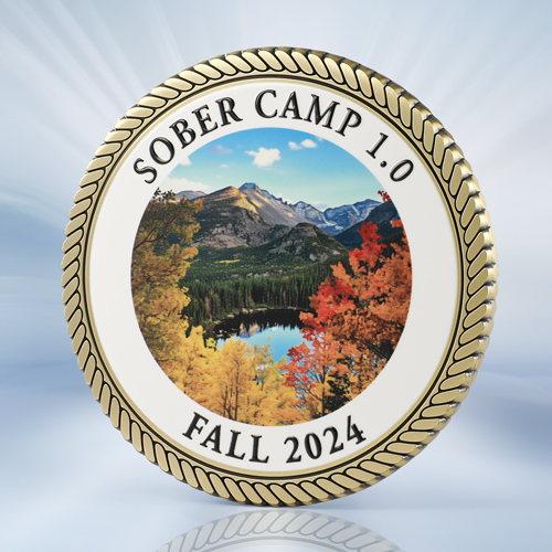 Sober Camp Clown  Challenge Coins