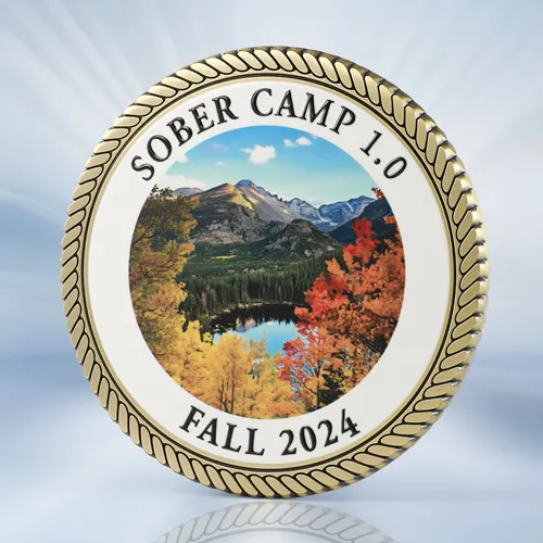 Sober Camp Clown Challenge Coins Sober Camp Clown Challenge Coins