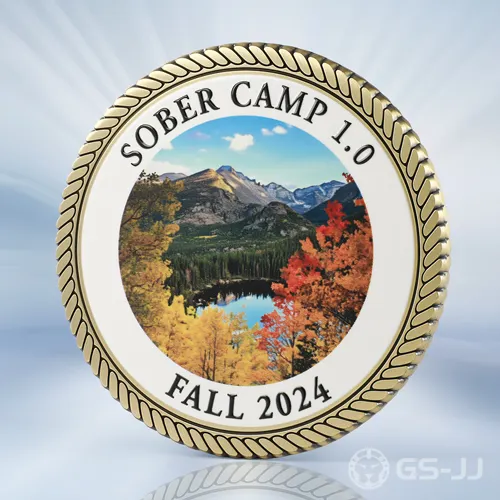 Sober Camp Clown Challenge Coins Sober Camp Clown Challenge Coins