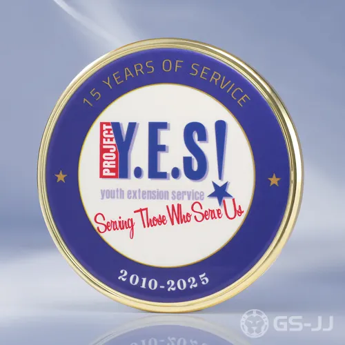 Project Y.E.S. 15 Years Challenge Coins Project Y.E.S. 15 Years Challenge Coins