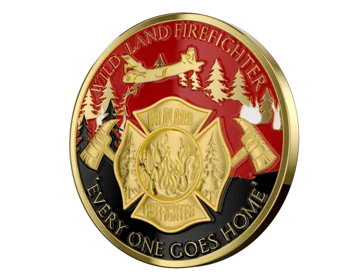 Custom 3D Coins