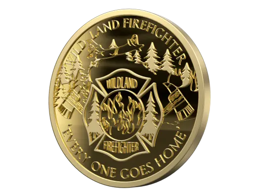 Custom Minted Coins
