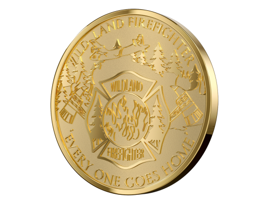 Custom No Color Coins
