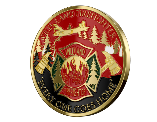 Custom Soft Enamel Coins