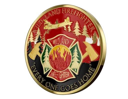 Custom UV Printed 3D Coins