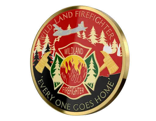 Custom UV Printed Coins
