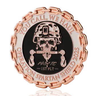 Shiny Copper Coin-2