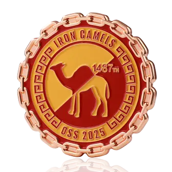 Shiny Copper Coin-1