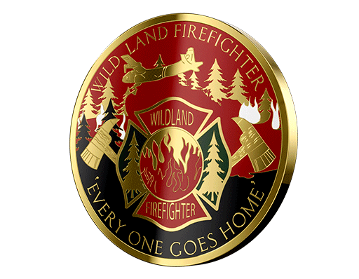 Custom Hard Enamel Coins