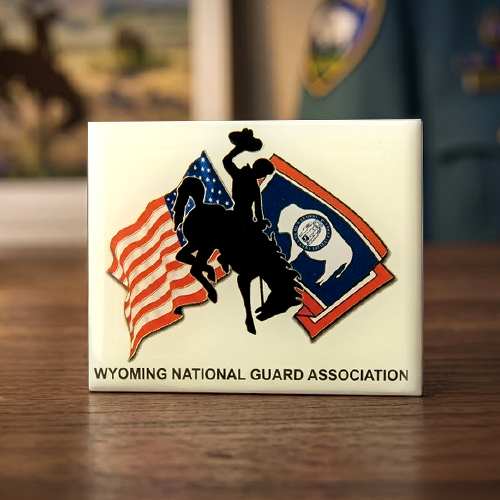National Guard Association Lapel Pins