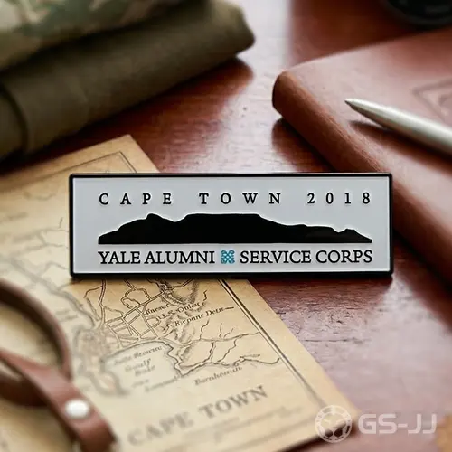 Service corps custom pins Service corps custom pins