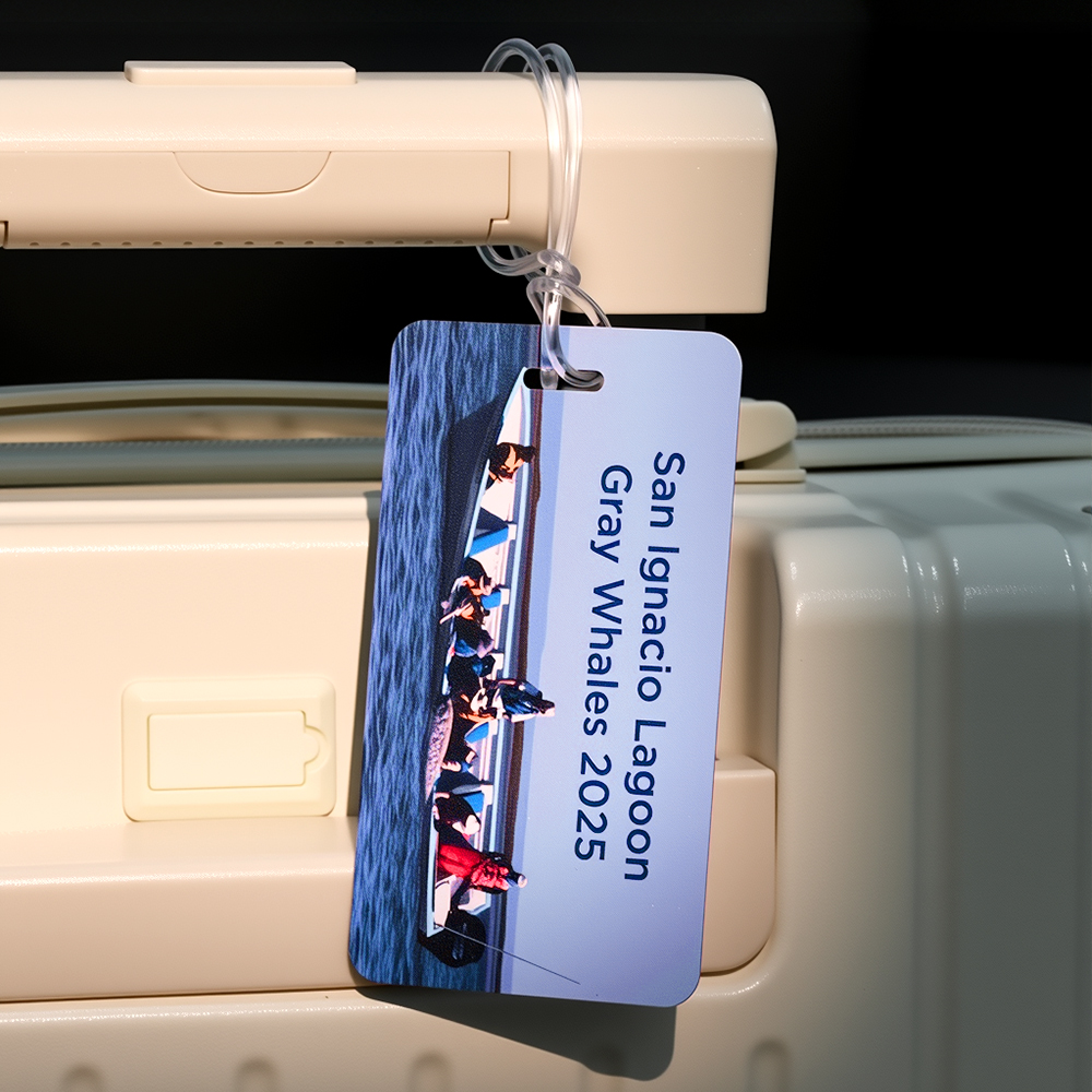 Plastic Luggage Tag Plastic Luggage Tag