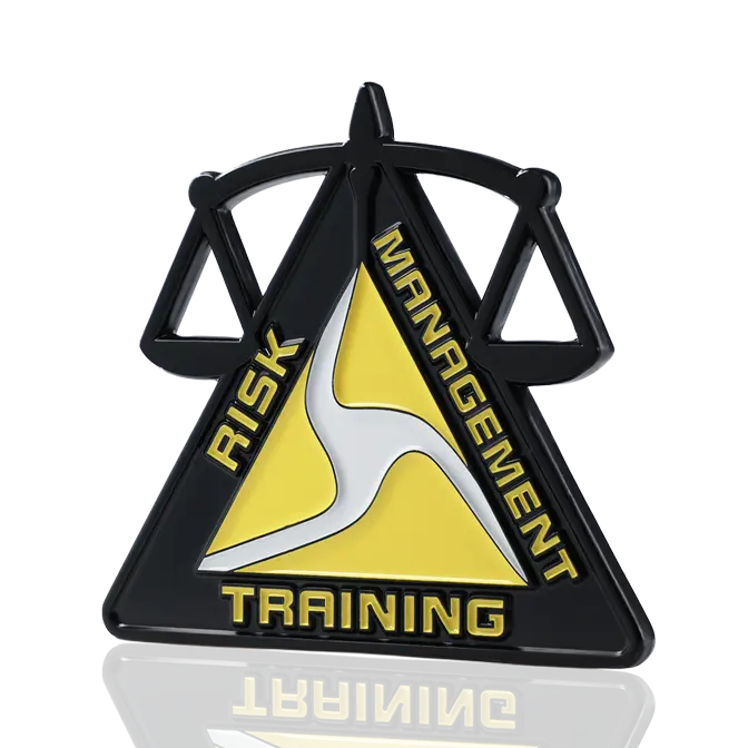 Risk Management Training Dye Black Challenge Coin