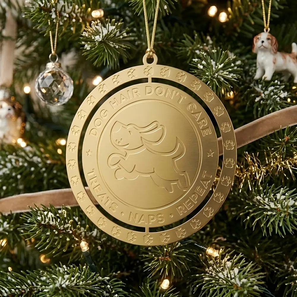 Hollow Dual Circle Ornament Hollow Dual Circle Ornament